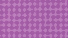 0541 purple